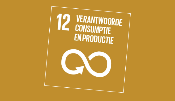 SDG12
