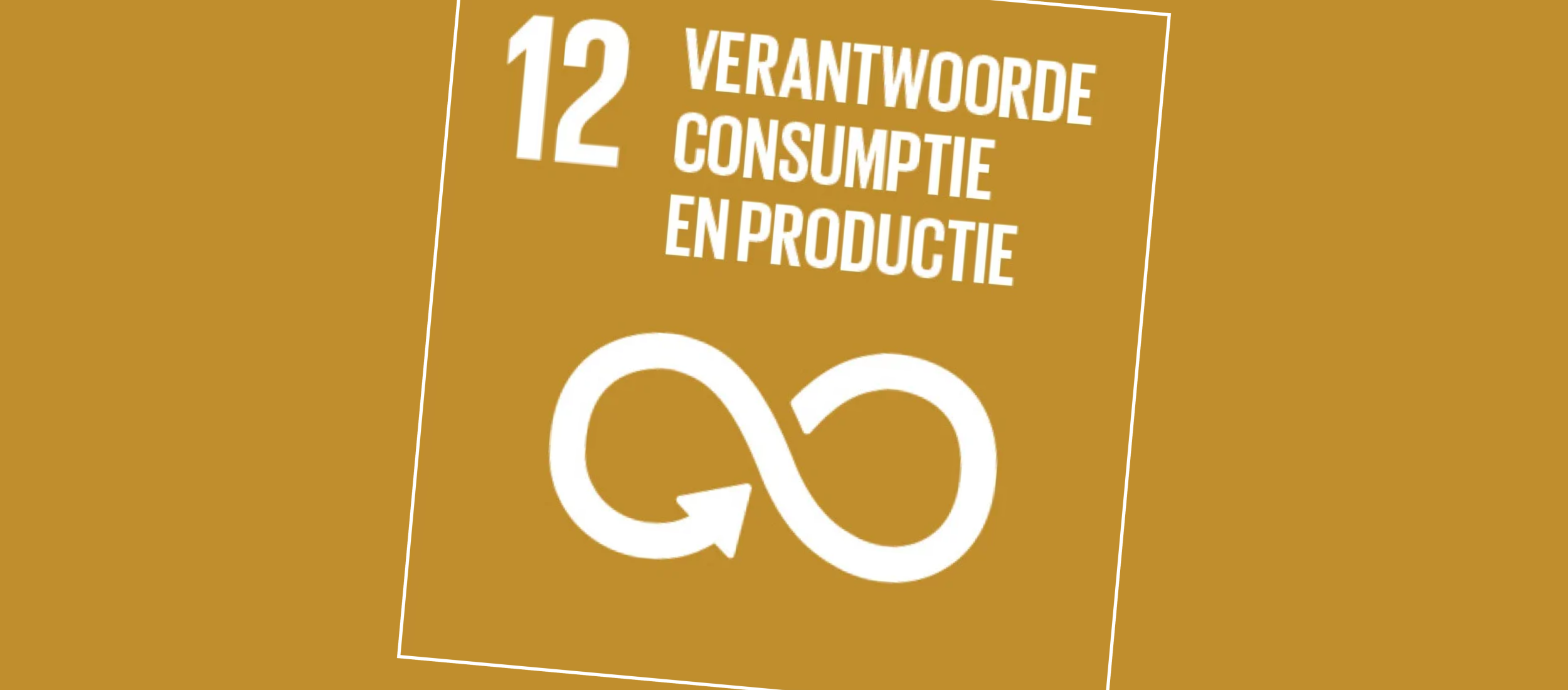 SDG12