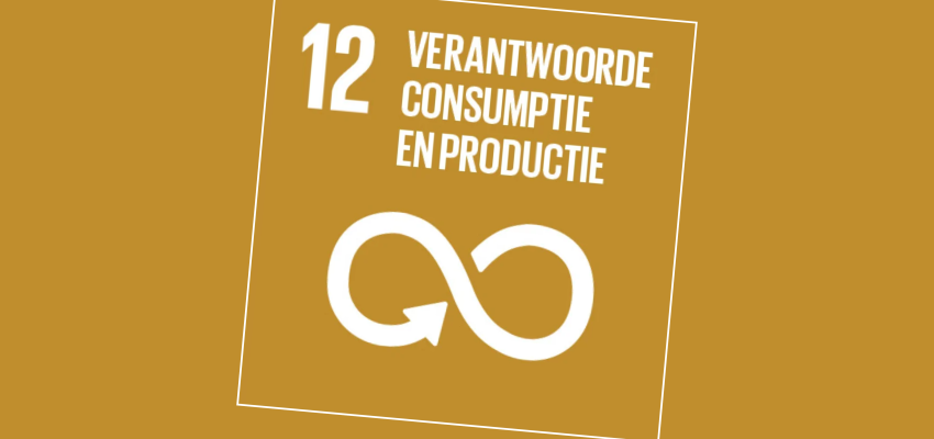SDG12